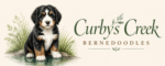 curbys-creek-bernedoodles-logo.png