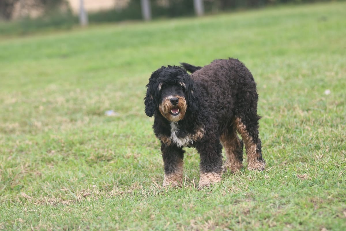 2F9D7C1C D4FD 4698 A1CF 947EF9D929F9